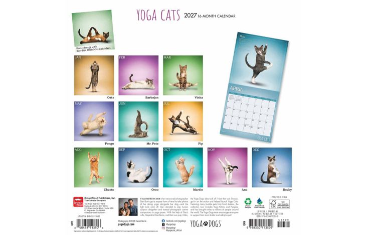 Plenty Gifts Kalender 27 Yoga Cats bt
