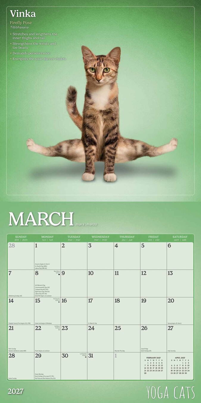Plenty Gifts Kalender 27 Yoga Cats bt