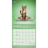 Plenty Gifts Kalender 27 Yoga Cats bt