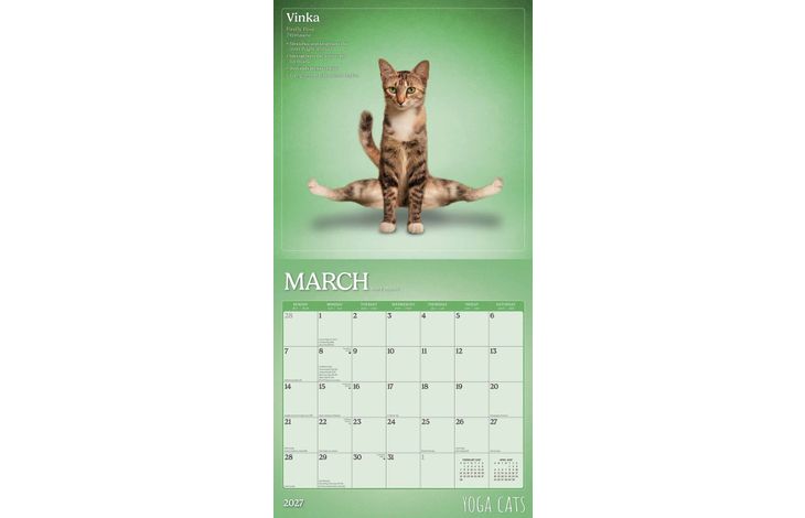 Plenty Gifts Kalender 27 Yoga Cats bt
