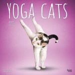 Kalender 27 Yoga Cats bt