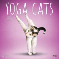 Plenty Gifts Kalender 27 Yoga Cats bt