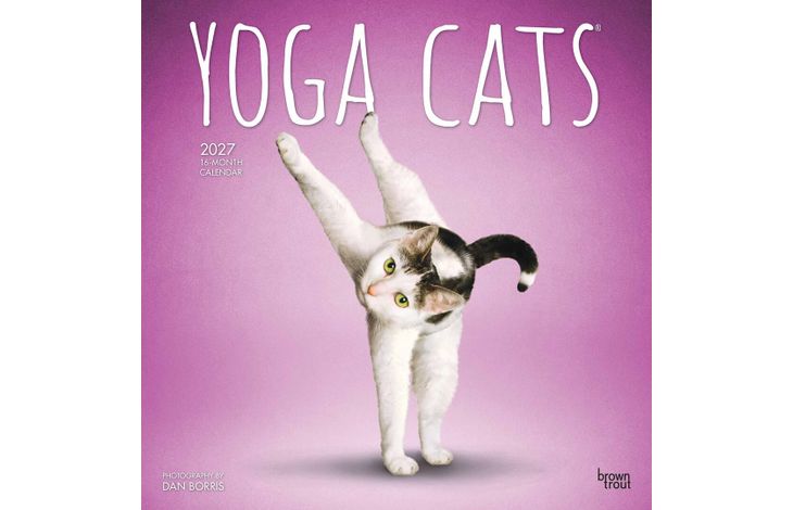 Plenty Gifts Kalender 27 Yoga Cats bt