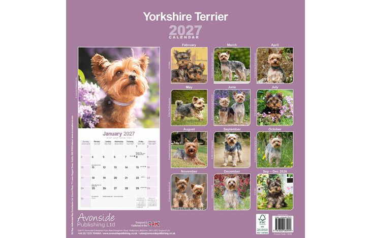 Avonside Kalender 27 Yorkshire Terriers as