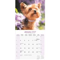 Avonside Kalender 27 Yorkshire Terriers as