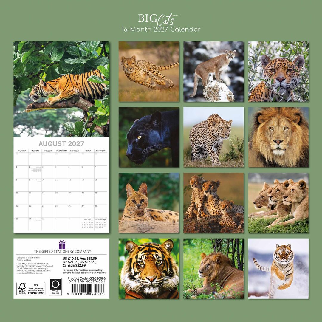 The Gifted Stationery Kalender 27 Big Cats gtd