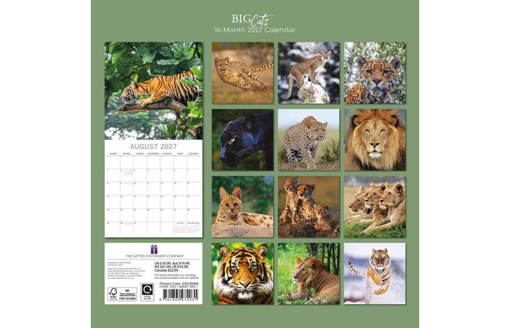 The Gifted Stationery Kalender 27 Big Cats gtd