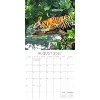 The Gifted Stationery Kalender 27 Big Cats gtd