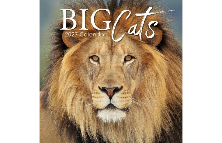 The Gifted Stationery Kalender 27 Big Cats gtd