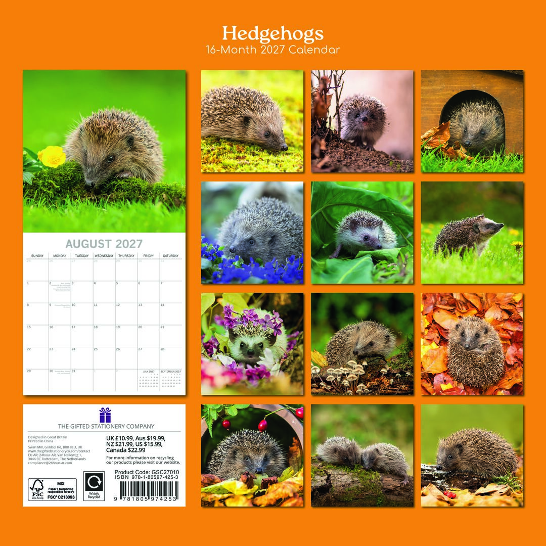 The Gifted Stationery Kalender 27 Hedgehogs gtd
