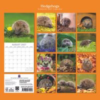 The Gifted Stationery Kalender 27 Hedgehogs gtd