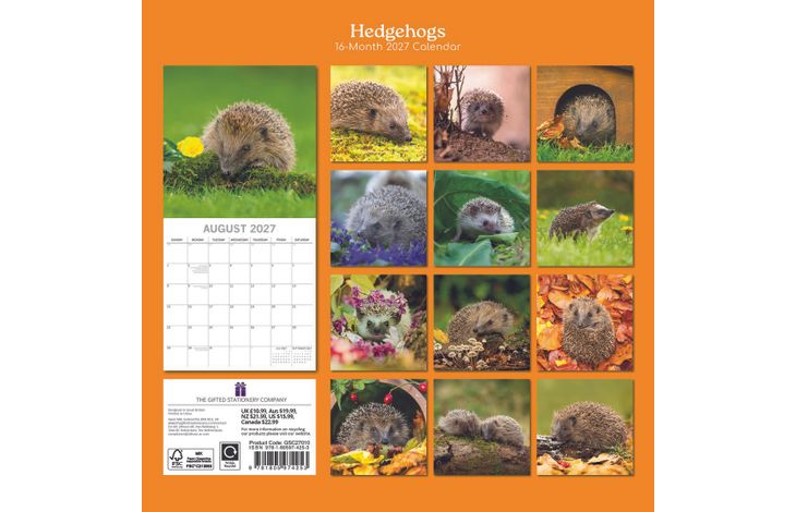 The Gifted Stationery Kalender 27 Hedgehogs gtd