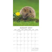 The Gifted Stationery Kalender 27 Hedgehogs gtd