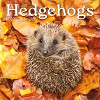 The Gifted Stationery Kalender 27 Hedgehogs gtd