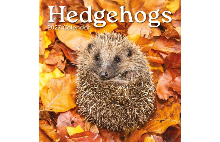 The Gifted Stationery Kalender 27 Hedgehogs gtd