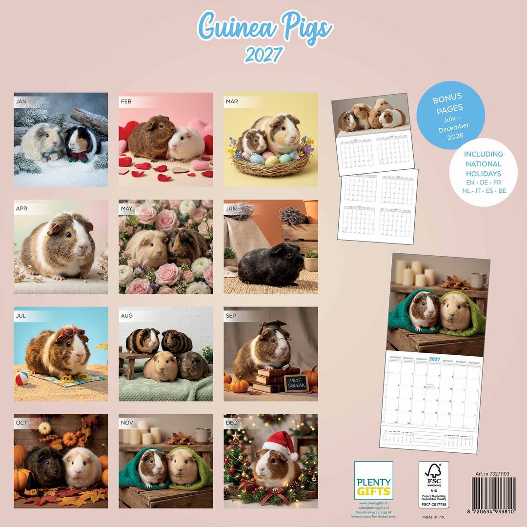 Plenty Gifts Kalender 27 Guinea Pigs Studio pg