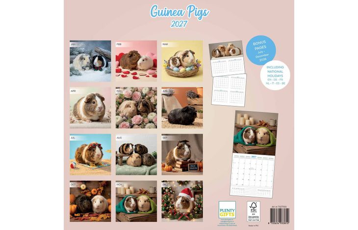 Plenty Gifts Kalender 27 Guinea Pigs Studio pg
