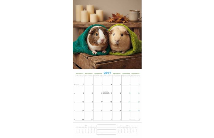 Plenty Gifts Kalender 27 Guinea Pigs Studio pg