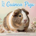 Kalender 27 Guinea Pigs Studio pg