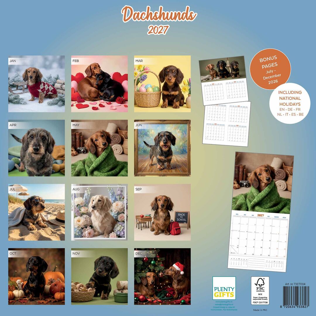 Plenty Gifts Kalender 27 Dachshunds Studio pg