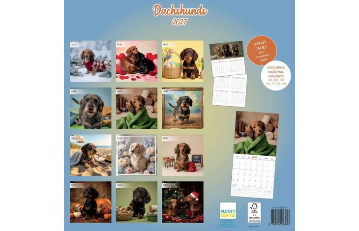 Plenty Gifts Kalender 27 Dachshunds Studio pg
