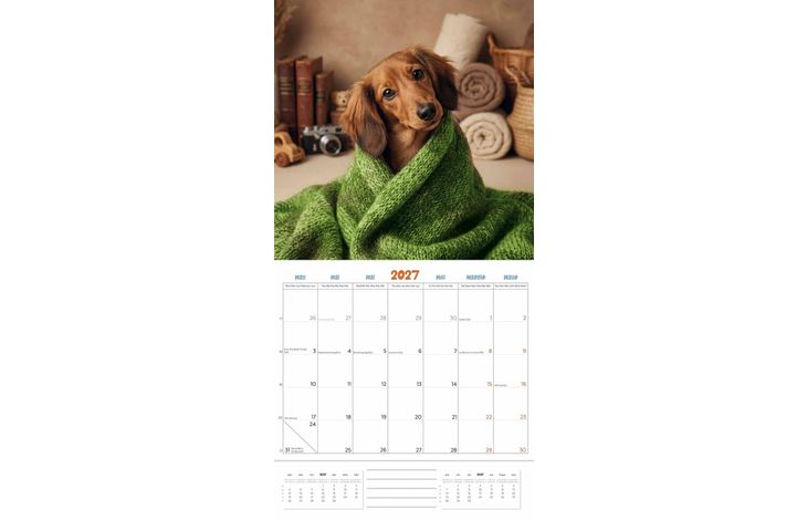 Plenty Gifts Kalender 27 Dachshunds Studio pg