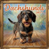 Plenty Gifts Kalender 27 Dachshunds Studio pg