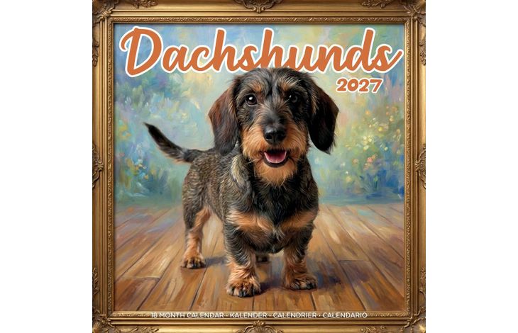 Plenty Gifts Kalender 27 Dachshunds Studio pg
