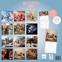 Plenty Gifts Kalender 27 Funniest Cats pg