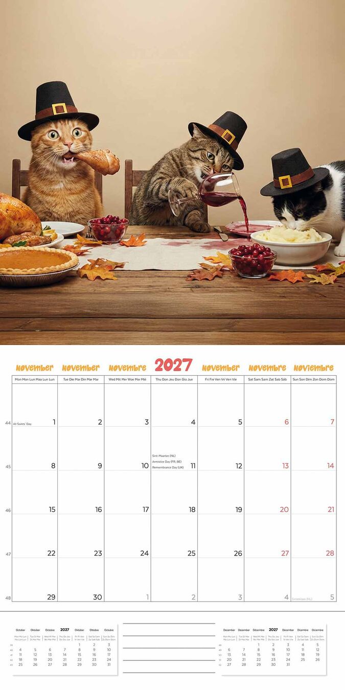 Plenty Gifts Kalender 27 Funniest Cats pg