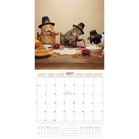 Plenty Gifts Kalender 27 Funniest Cats pg