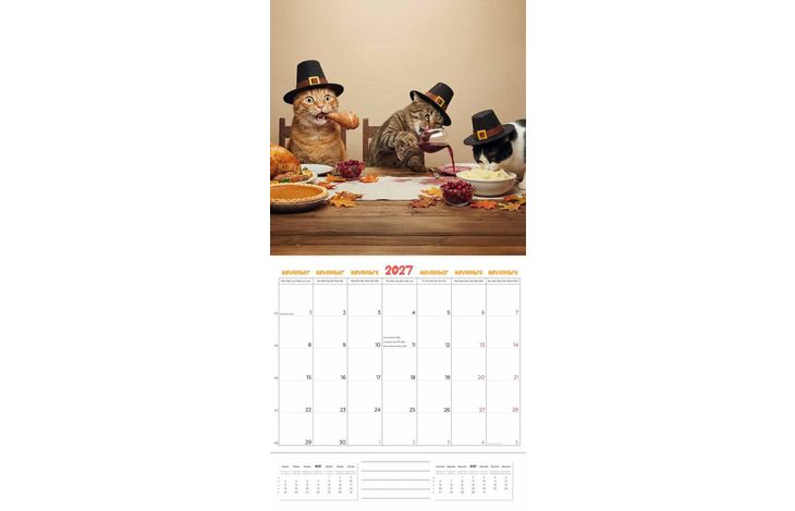 Plenty Gifts Kalender 27 Funniest Cats pg