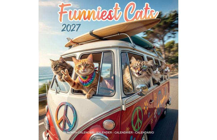 Plenty Gifts Kalender 27 Funniest Cats pg