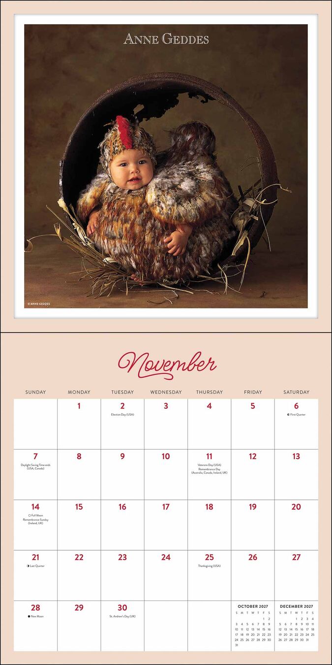 Flame Tree Publishing Kalender 27 Anne Geddes amp