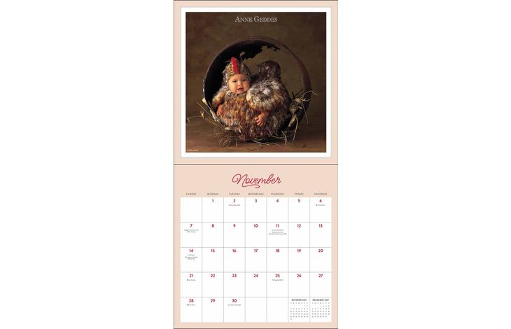 Flame Tree Publishing Kalender 27 Anne Geddes amp