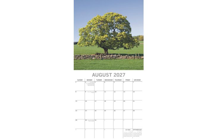 The Gifted Stationery Kalender 27 Beauty of Trees gtd