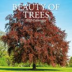 Kalender 27 Beauty of Trees gtd