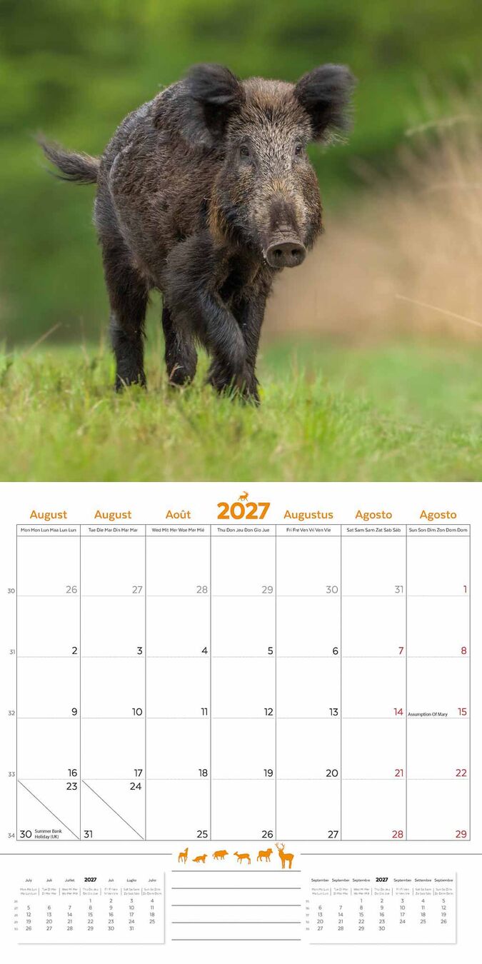 Plenty Gifts Kalender 27 De Veluwe pg