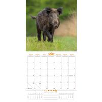 Plenty Gifts Kalender 27 De Veluwe pg