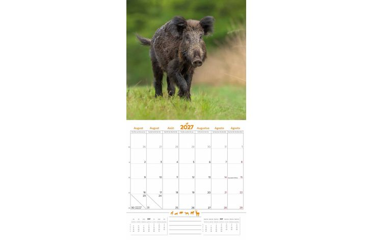 Plenty Gifts Kalender 27 De Veluwe pg