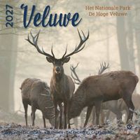 Plenty Gifts Kalender 27 De Veluwe pg