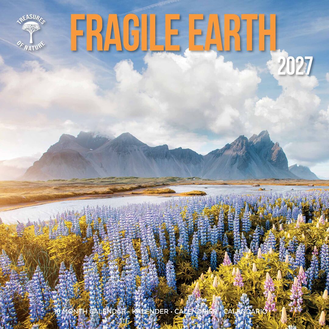 Plenty Gifts Kalender 27 Fragile Earth ToN pg