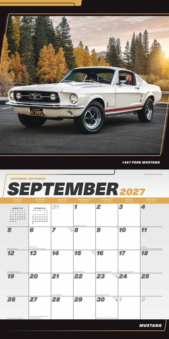 Plenty Gifts Kalender 27 Mustang bt