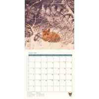 Comello Kalender 27 R Poortvliet Natuur pgc