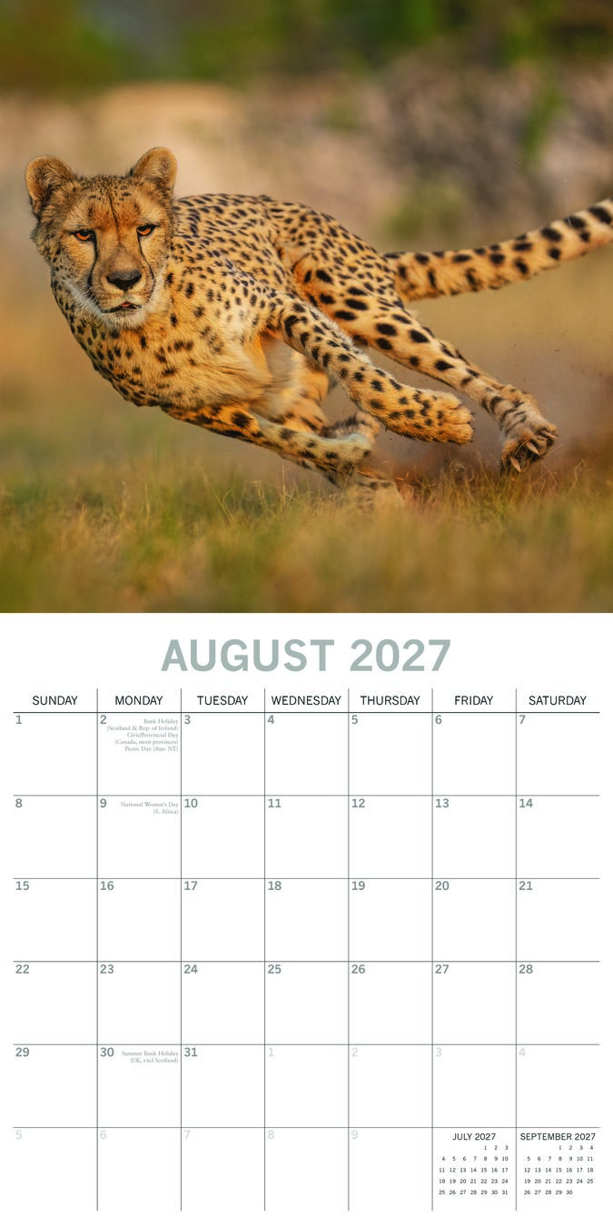 The Gifted Stationery Kalender 27 Safari gtd