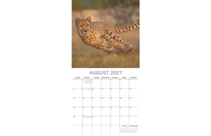 The Gifted Stationery Kalender 27 Safari gtd