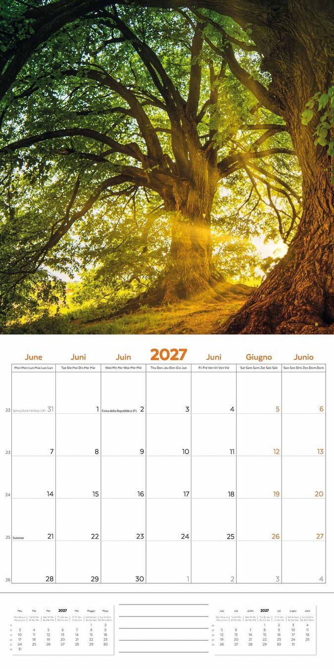 Plenty Gifts Kalender 27 Bos en Natuur pg