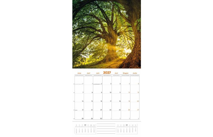 Plenty Gifts Kalender 27 Bos en Natuur pg