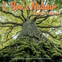 Plenty Gifts Kalender 27 Bos en Natuur pg