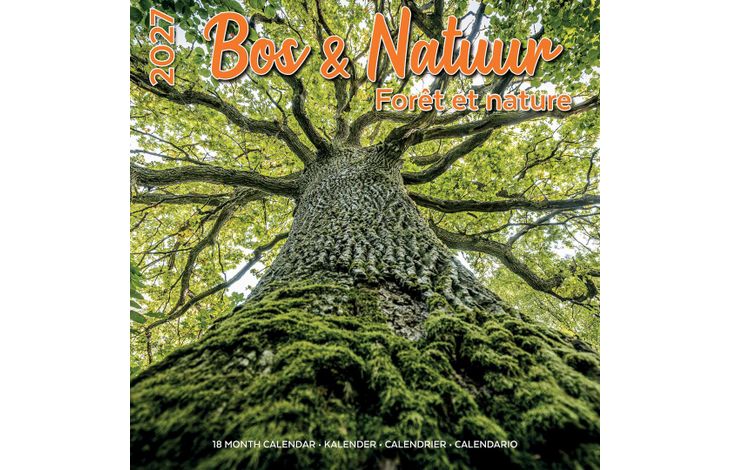 Plenty Gifts Kalender 27 Bos en Natuur pg